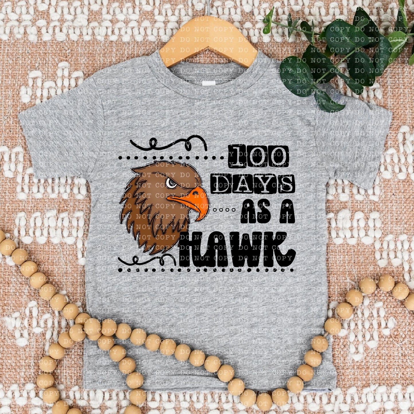 100 Days as a Hawk (Youth)
