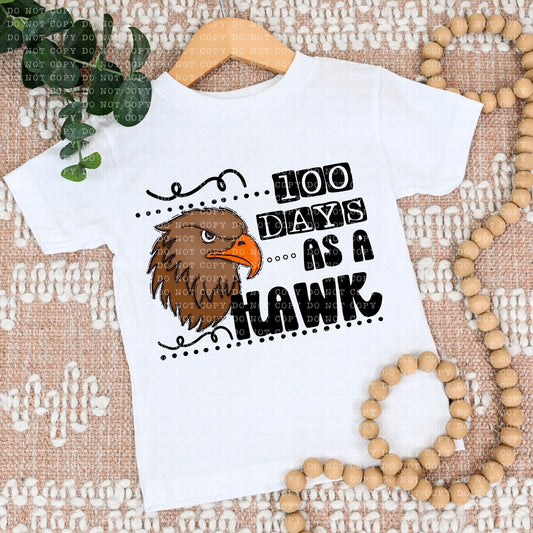 100 Days as a Hawk (Youth)